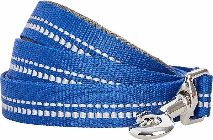Blueberry Pet 3M Reflective Pastel Color Dog Leash with Soft & Comfortable Handle, 5 ft x 3/4", Navy, Medium, Leashes for Dogs
