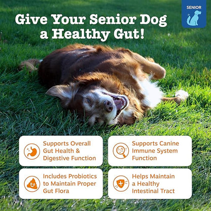 Zesty Paws Probiotics for Dogs - Digestive Enzymes for Gut Flora, Digestive Health, Diarrhea & Bowel Support - Clinically Studied DE111 - Dog Supplement Soft Chew for Pet Immune System - Adv, 90ct