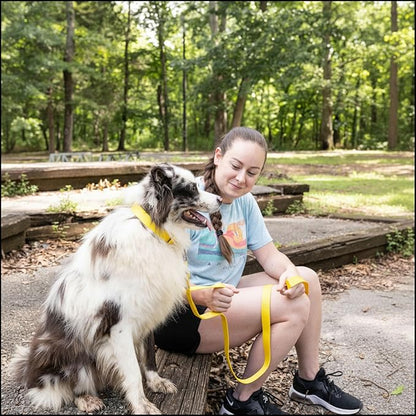 Country Brook Petz - Everyday Nylon Dog Collar for Large, Medium, and Small Dogs and Puppies - for Everyday Use in 15+ Cool Colors (3XS, 3/8 Inch Wide, Yellow)