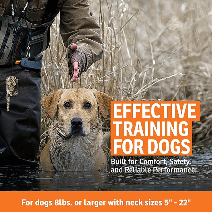 SportDOG WetlandHunter 425X Remote Trainer - Reliable Off-Leash Control - Rechargeable - Waterproof DryTek Technology - Adjustable Training Collar - Camouflage - 500-Yard Range, 1 Collar