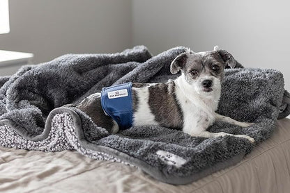 Pet Parents® Washable Belly Bands for Male Dogs (3pack) + Extendrs® of Durable Dog Diapers Male, Premium Male Dog Diapers & Dog Wraps (X-Large, Kingsmen)