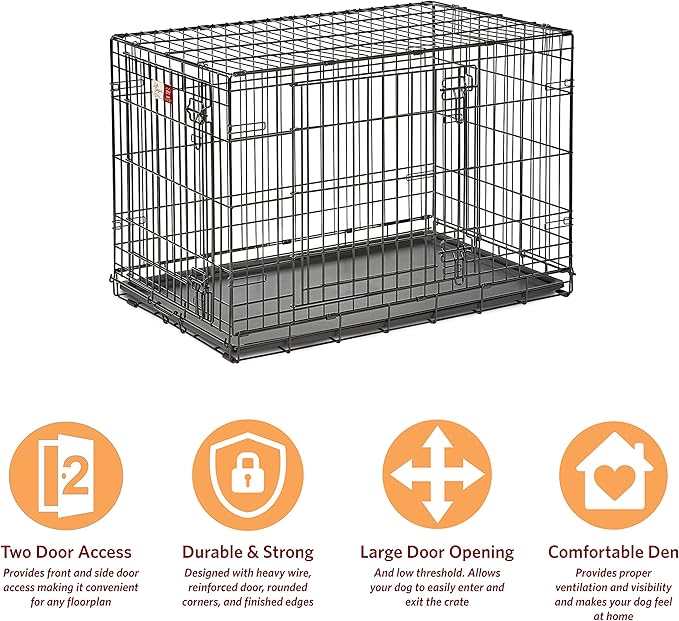 MidWest Homes for Pets 36-Inch LifeStages Crate for Medium-Large Breeds, 41-70 lbs, Double Door Folding Dog Crate with Divider Panel, Leak-Proof Tray & Secure Latch, Heavy-Duty & Easy to Assemble
