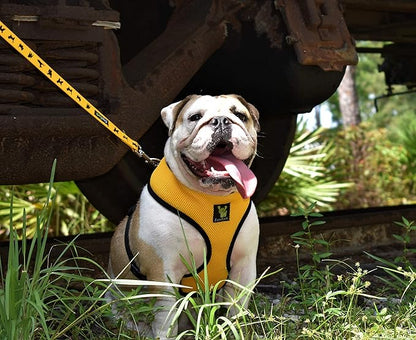 EcoBark Dog Leash - Soft & Reflective Comfort Leashes with Padded Handle - Safe, Strong, & Durable for Small, Medium or Large Dogs (Yellow)