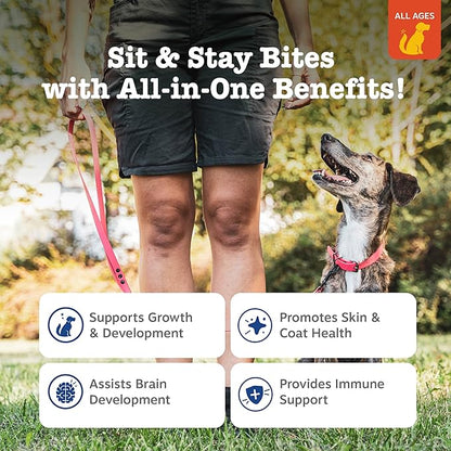 Zesty Paws Training Treats for Dogs & Puppies - Dog Treats for Training - Healthy Dog Chews for Hip, Joint & Muscle Health - for All Breeds and Ages - PB Flavor - 12oz
