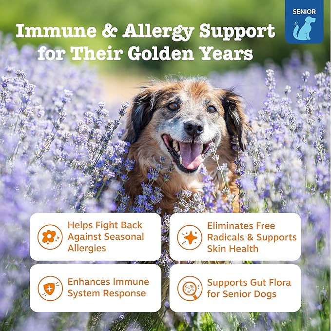 Zesty Paws Senior Allergy Immune Bites - Dog Allergy Chews, Dog Probiotics for Itchy Skin and Ears, Salmon, 90ct