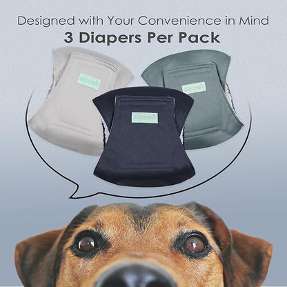 wegreeco Washable Male Dog Belly Band (Stylish Pattern)- Pack of 3 - Washable Male Dog Belly Wrap, Dog Diapers Male (Blue, Green, Champagne, X-Small)