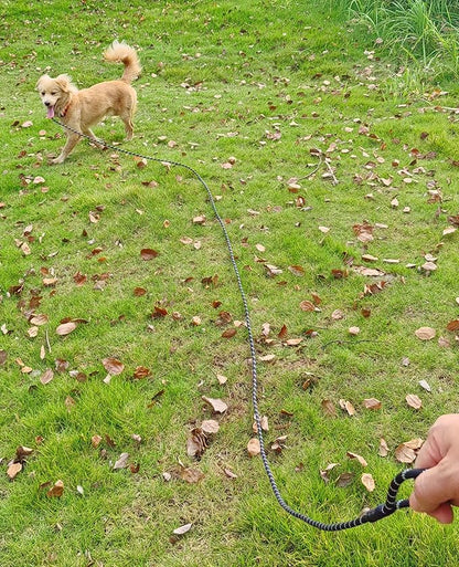 12FT Long Slip Lead Leash, 20ft 30ft 50ft Reflective Rope Training Lead Anti-Choking for Medium Dogs Small Puppy Pets Behavior Active Playing (Blue)