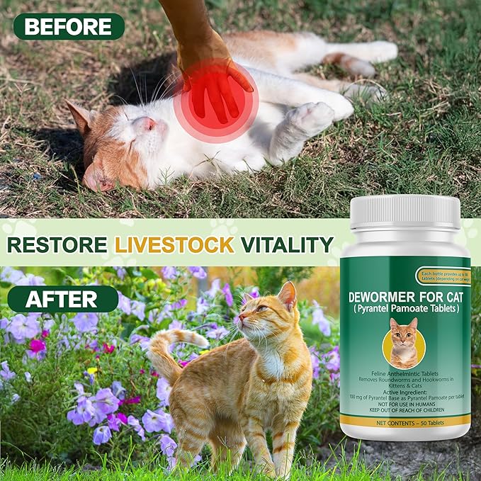 Cat & Kitten Dewormer for All Wormers, Pyrantel Pamoate, Roundworms & Hookworms, 50 Tablets
