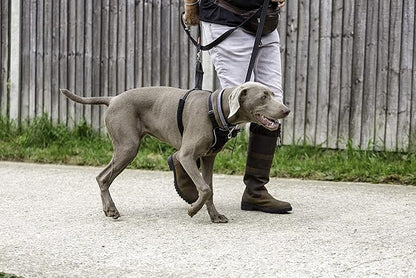 Halti No Pull Harness - Stop Your Dog Pulling on the Leash. Adjustable, Lightweight and Easy to Use. Reflective Dog Training Harness for Large Dogs (Size L, Black)