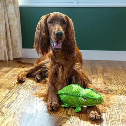 Outward Hound Xtreme Seamz Alligator Squeaky Dog Toy - Reinforced Dense Stuffing Plush Toy