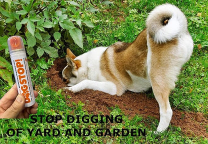 Dog Stop! - Stop Barking, Jumping, Chasing, Fighting, Scratching, Chewing, Biting & More! Safe, Humane, Effective Pet Behavior Correcting and Training Tool