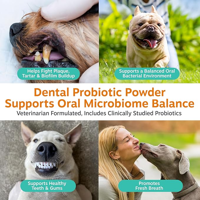 Zesty Paws Probiotic Dental Powder for Dogs Teeth - Fights Plaque, Tartar & Bad Dog Breath - Dog Breath Freshener Powder for Oral Microbiome & Gut Health - Pet Supplement for Teeth & Gums