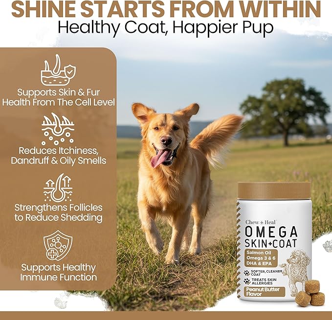 Omega 3 Fish Oil for Dogs, 180 Soft Chews - Salmon Oil Skin & Coat Supplement, Allergy & Itchy Skin Relief, Hot Spots, Anti Shedding - EPA DHA Omega 3 6 9 - Peanut Butter - Made in USA, Chew + Heal