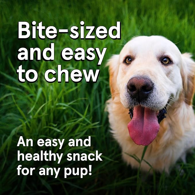 Real Meat Dog Treats - Three 12oz Bag of Bite-Sized Air-Dried Venison & Chicken Jerky for Dogs - Grain-Free Jerky Treats with 95% Free-Range Venison & Chicken - All-Natural Treats