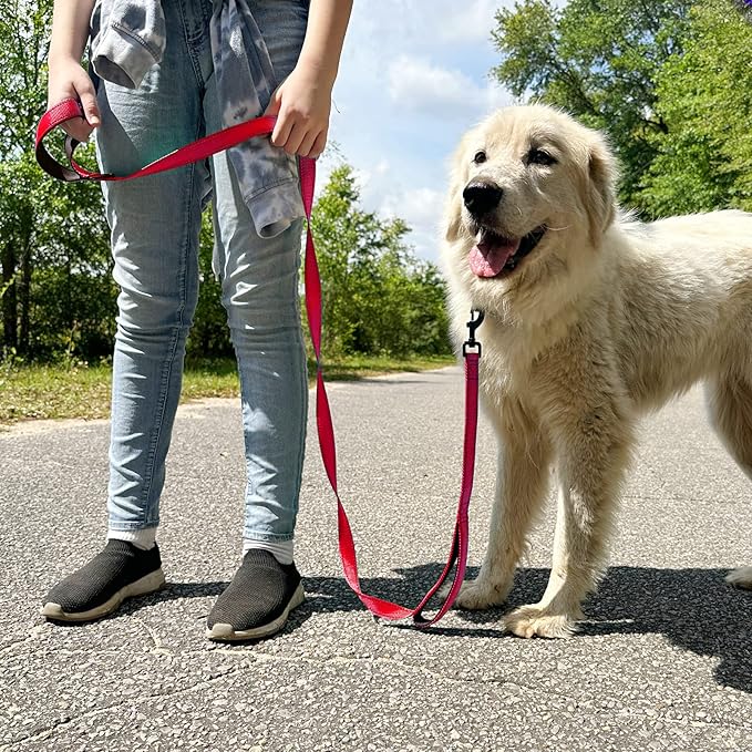 Joytale Dog Leash Heavy Duty for Large Dogs that Pull, Double Handle for Traffic Control, Double-Sided Reflective Leashes for Large Medium Dogs Night Safety, 6FT, Red
