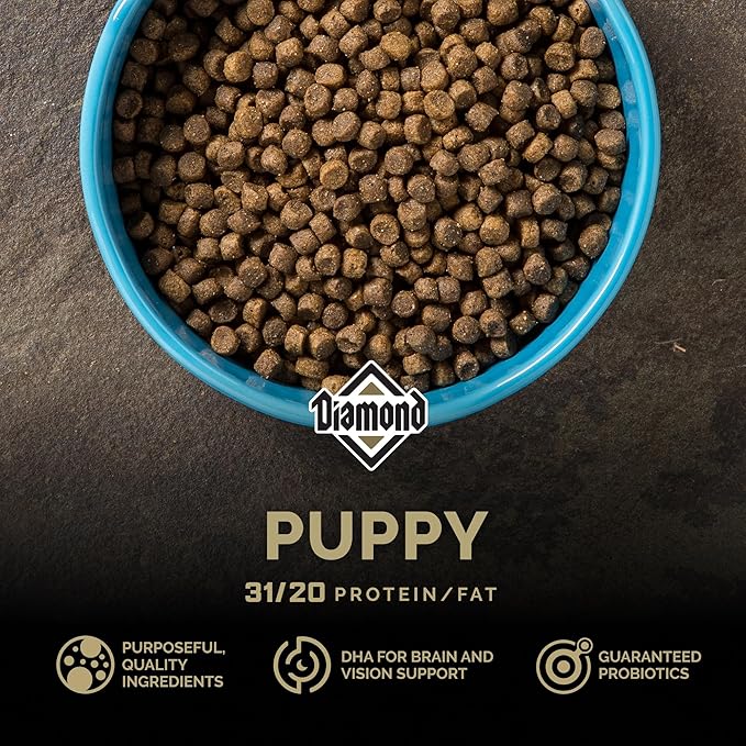 Diamond Puppy Dry Dog Food 31/20 for All Life Stages Including Puppies and Pregnant and Nursing Adult Dogs 6lb Bag