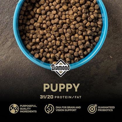 Diamond Puppy Dry Dog Food 31/20 for All Life Stages Including Puppies and Pregnant and Nursing Adult Dogs 6lb Bag