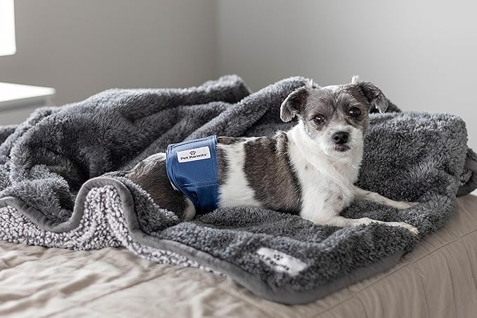 Pet Parents® Washable Belly Bands for Male Dogs (3pack) + Extendrs® of Durable Dog Diapers Male, Premium Male Dog Diapers & Dog Wraps (Small, Kingsmen)