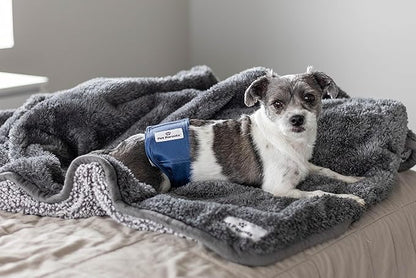 Pet Parents® Washable Belly Bands for Male Dogs (3pack) + Extendrs® of Durable Dog Diapers Male, Premium Male Dog Diapers & Dog Wraps (Medium, Kingsmen)