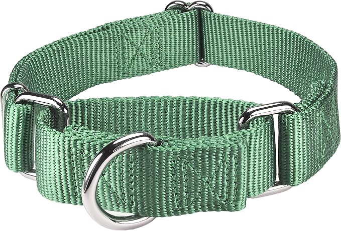 Mikivery Martingale Dog Collar Nylon Adjustable and Safety Training Metal Buckle Dogs Collars for Small Medium and Large Breed(Emerald,L)