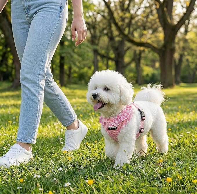 SuperBuddy Upgraded Soft Mesh Dog Harness, Super Breathable Lightweight Pet Harnesses for Puppy Outdoor Walking, Pink -XSmall