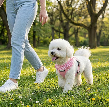 SuperBuddy Upgraded Soft Mesh Dog Harness, Super Breathable Lightweight Pet Harnesses for Puppy Outdoor Walking, Pink -XSmall