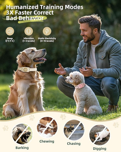 Jugbow Dog Training Collar for 2 Dogs - 4200FT Remote Control with 3 Training Modes, Electric Collar with LED Light & IPX8-Waterproof, Rechargeable E-Collars for Small Medium Large Dogs (Beige)