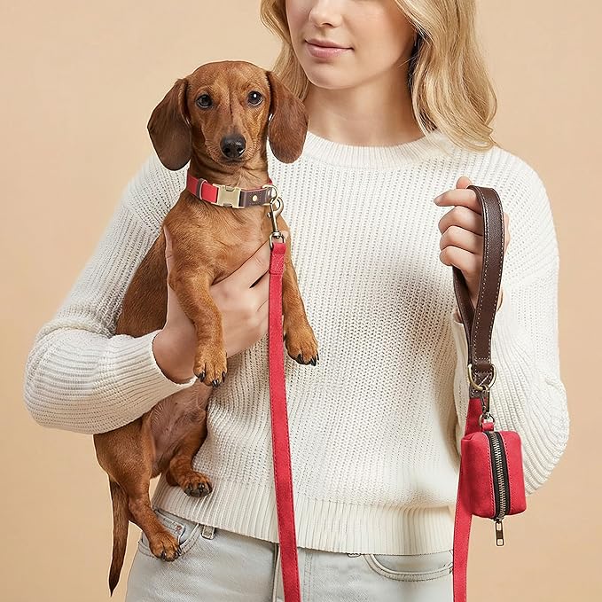 Didog Soft PU Leather Dog Collars for Small Dogs,Classic Adjustable Dog Collars with Quick Release Metal Buckle,Easy Clean and Comfortable with Nylon Lining,Red,S Neck 11-15"