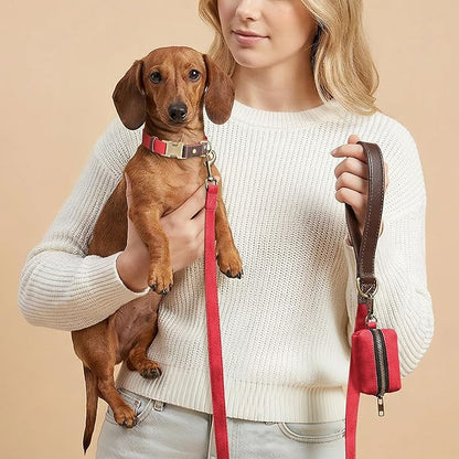 Didog Soft PU Leather Dog Collars for Small Dogs,Classic Adjustable Dog Collars with Quick Release Metal Buckle,Easy Clean and Comfortable with Nylon Lining,Red,S Neck 11-15"