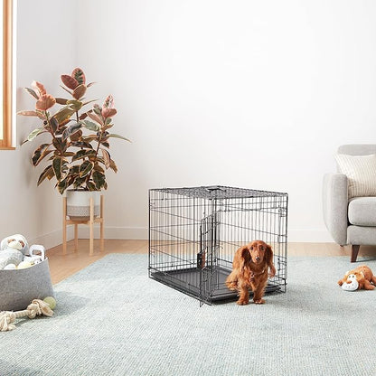 Amazon Basics Portable, Foldable Metal Wire Dog Crate with Removable Tray, Single Door, Divider Panel, Quick Setup, 30 x 19 x 21 in, Black