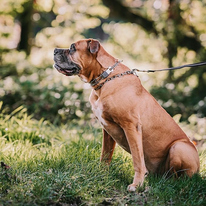 Herm Sprenger Prong Dog Collar with Quick Release ClicLock Buckle for Small Medium Large Dogs Stainless Steel Training No-Pull Collar for Dogs Made in Germany (23in x 3.2mm)