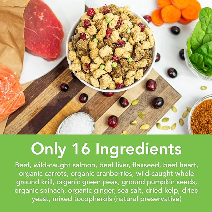 Simple Food Project - Beef & Salmon Recipe - Freeze Dried Raw Food for Dogs - 24oz
