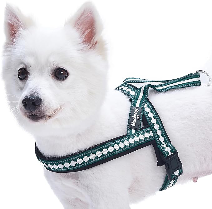 Blueberry Pet 6 Colors Soft & Comfy Jacquard Padded Dog Harness, Chest Girth 25.5" - 31.5", Teal Blue, M/L, Reflective Adjustable Harnesses for Dogs