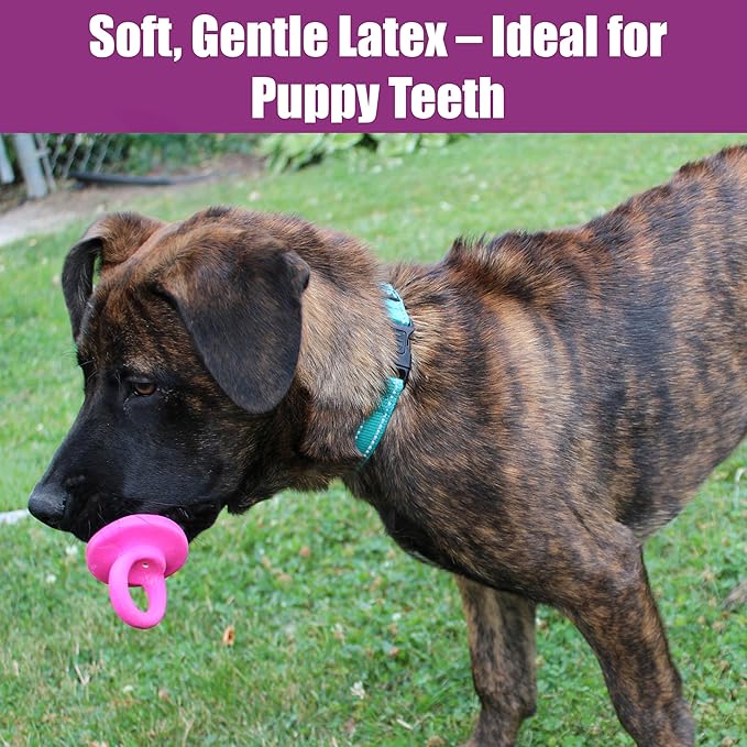 SPOT Puppy Pacifier Latex Dog Toy – Soft Binky-Shaped Chew for Teething Puppies & Small Dogs, 4.5 Inch, for Light Chewers Only, Squeaky Natural Latex, Assorted Colors