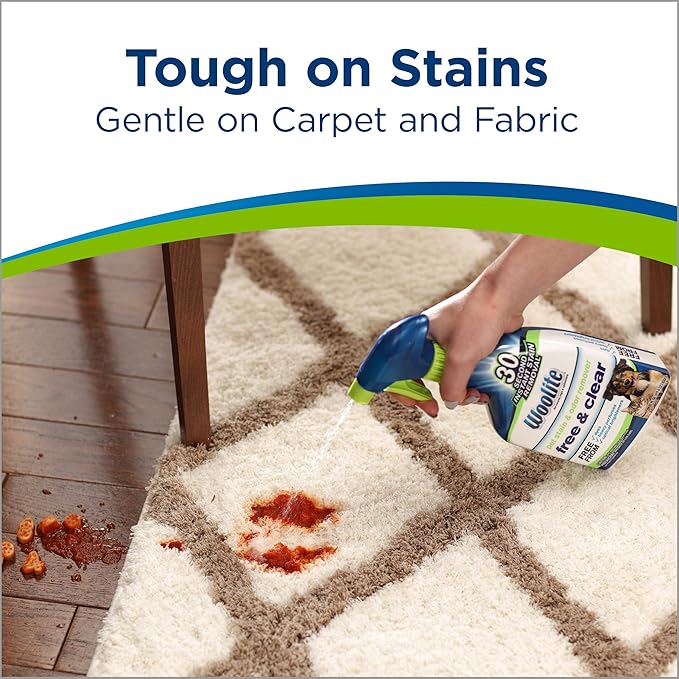 Bissell Woolite Free & Clear, Pet Stain & Odor Remover, 22oz (Pack of 2), 2719