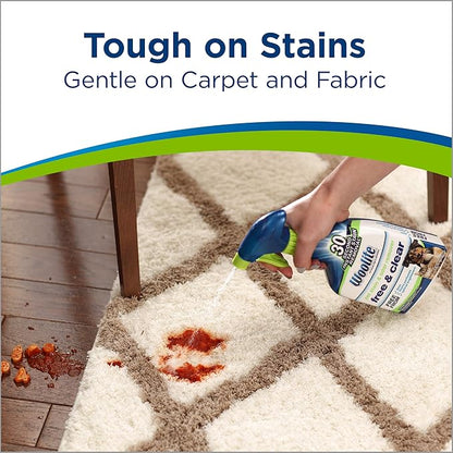 Bissell Woolite Free & Clear, Pet Stain & Odor Remover, 22oz (Pack of 2), 2719