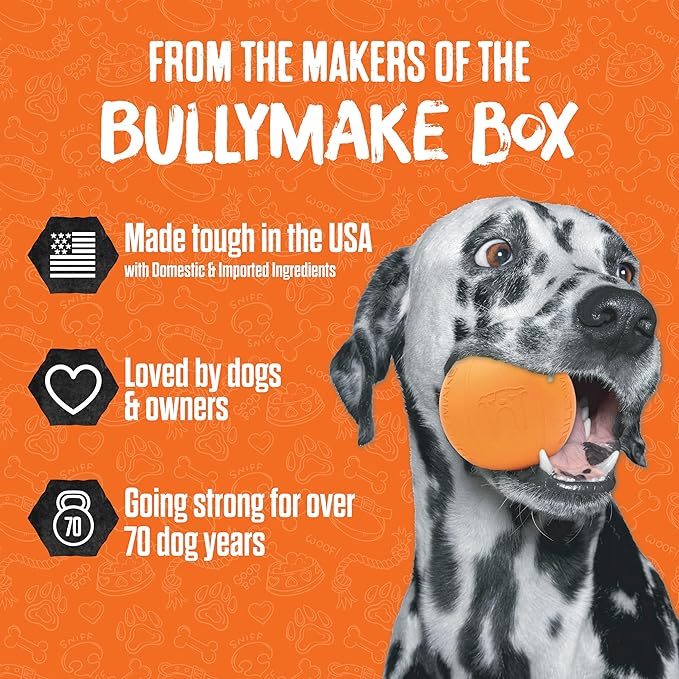 BULLYMAKE Green Tough Chew Horseshoe Toy for Dogs, Durable Nylon Dog Toys for Aggressive Chewers, Dental Stimulating, Tough Chewers, Boredom Busting, Made in USA