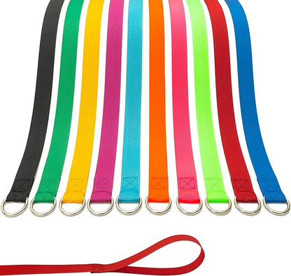 Slip Lead Dog Leash - 20 pcs Colorful 6 FT Short Dog Leashes with O-Ring for Small Large Dogs Puppy Cats Walking Training Running Rescues Grooming Shelter,etc.