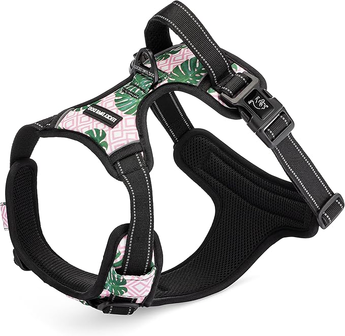 Lucky Love Dog No Pull Dog Harness, Adjustable and Easy to Walk, Cute Patterned Harness for SmallMale & Female Dogs - Laguna, Small