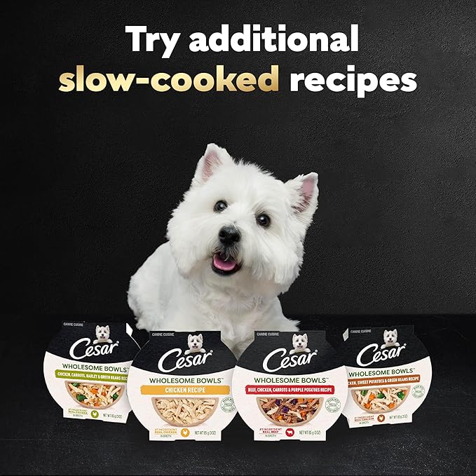 Cesar Wholesome Bowls Adult Wet Dog Food, Chicken, Apple & Sweet Potato Recipe, Wet Food for Dogs, 3 oz. Bowls, 10 Count