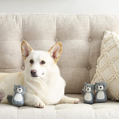 Outward Hound Squeakin' Raccoon Hide A Puzzle Plush Replacement Dog Toys - 3 Pack