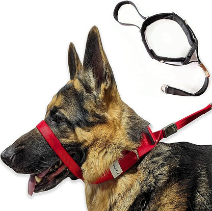 PetsProMax - Dog Headcollar for Pulling and Reactive Dogs; Behind Head Dog Leash Hook Lets You Walk Peacefully; Instantly Stops Your Dog Pulling. Dogs No-Pull Training Collar for Large Dogs. Red (S)