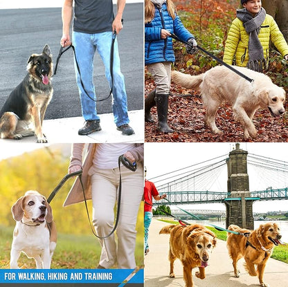 Heavy Duty Dog Leash - 2 Handles by Padded Traffic Handle for Extra Control, 6foot Long - Perfect for Medium to Large Dogs (Dark Blue, 6 ft)