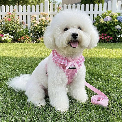 SuperBuddy Upgraded Soft Mesh Dog Harness, Super Breathable Lightweight Pet Harnesses for Puppy Dogs Outdoor Walking, Pink Dog Harness and Dog Leash Set Packing -Large