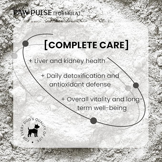 Pawpulse Formula Milk Thistle for Dogs – Liver & Kidney Support Powder with Silymarin & Glutathione – Daily Detox, Antioxidant & Metabolic Natural Support, 2.12 oz