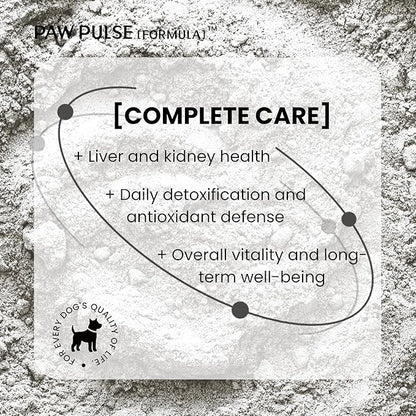 Pawpulse Formula Milk Thistle for Dogs – Liver & Kidney Support Powder with Silymarin & Glutathione – Daily Detox, Antioxidant & Metabolic Natural Support, 2.12 oz