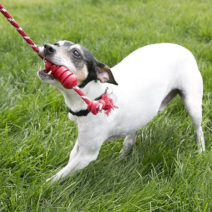 KONG Dental with Rope- for Dog Dental Care - Stuffable Chew Toy - Provides Chewing Outlet & Satisfies Instinctual Needs - Cleans Teeth & Gums - Made with Durable Natural Rubber - for Medium Dogs