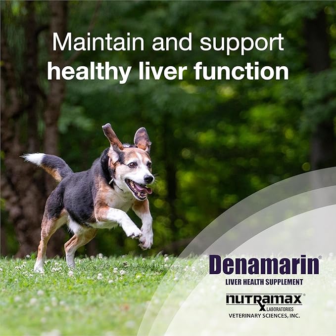 Nutramax Denamarin for Medium Dogs, Liver Health Supplement with S-adenosylmethionine (SAMe) plus Silybin, Liver Support for Dogs, Coated Tablets, 30 Count