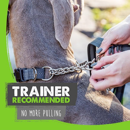 Mighty Paw Martingale Dog Collar 2.0 | Trainer Approved Limited Slip Collar with Stainless Steel Chain & Heavy Duty Buckle - Modified Cinch Collar for Gentle & Effective Pet Training - Medium, Grey