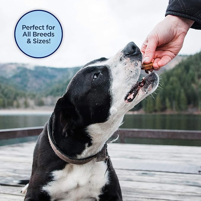 Natural Balance Limited Ingredient Mini-Rewards Salmon Grain-Free Dog Training Treats for Dogs | 5.3 Ounce Canister (Pack of 2)